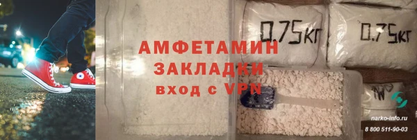 сатива Ачинск